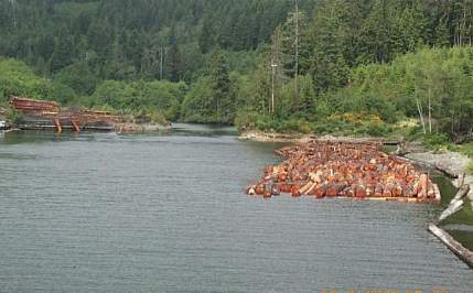 Holztransport auf Vancouver Island