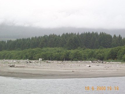 Holz ohne Ende, in verschiedenen Varianten